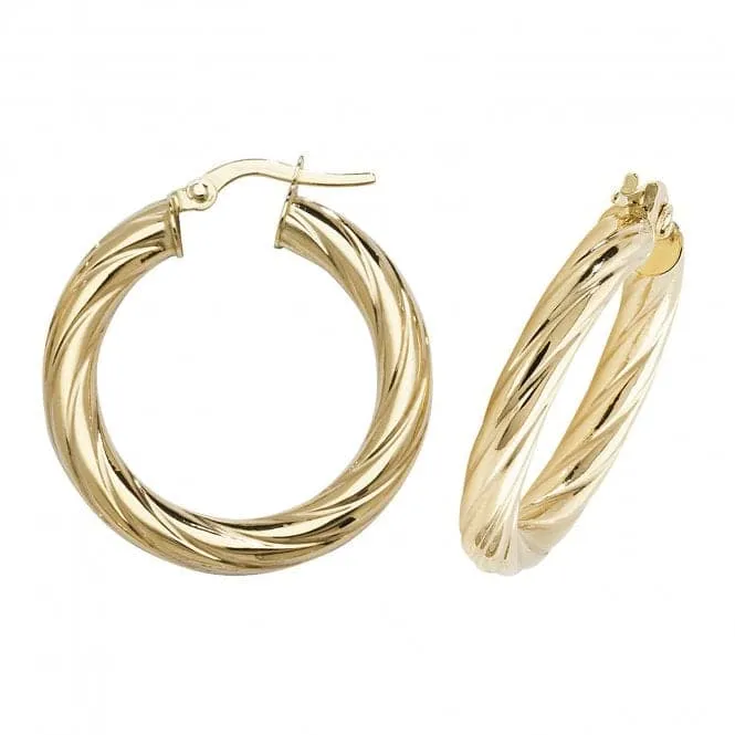 9ct Yellow Gold Oval Hoop Earrings ER1059