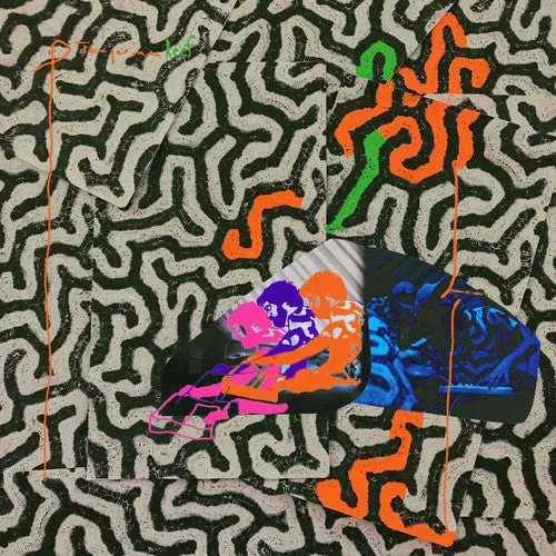 Animal Collective-Tangerine Reef (2xLP)