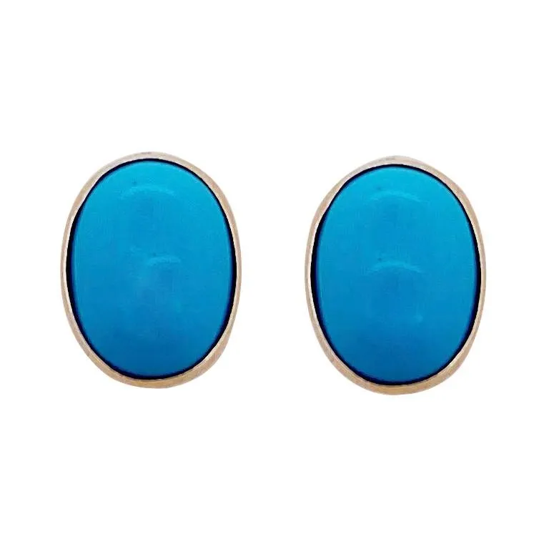 Oval Turquoise Earrings