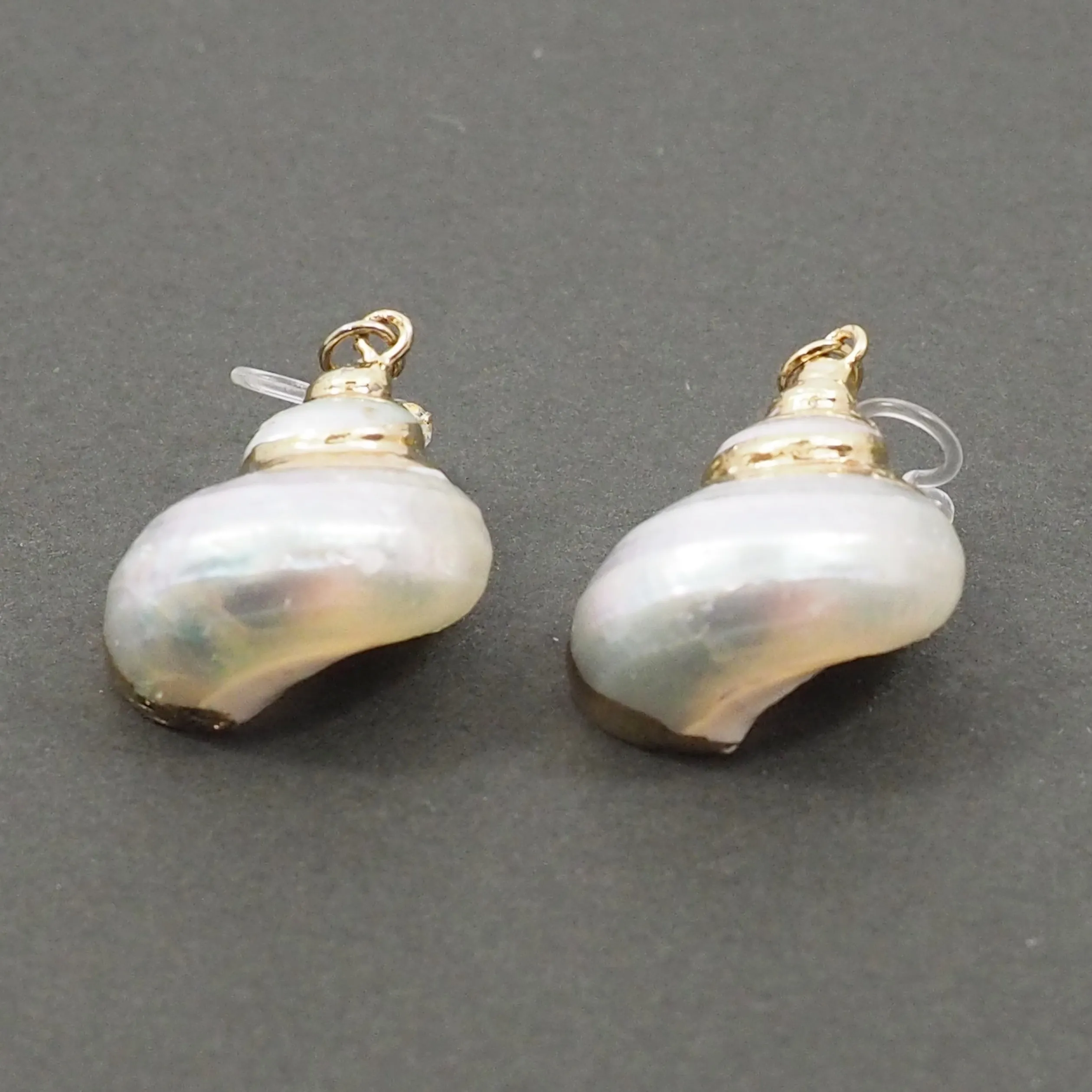 White Shell Invisible Clip On Earrings